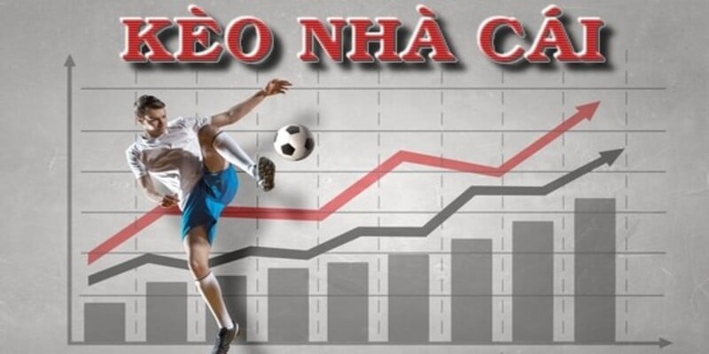 Bí kíp giúp giải mã kèo cho game thủ cực hay